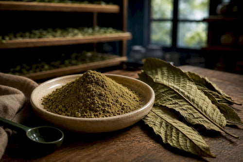Plain kratom powder beside dried leaves