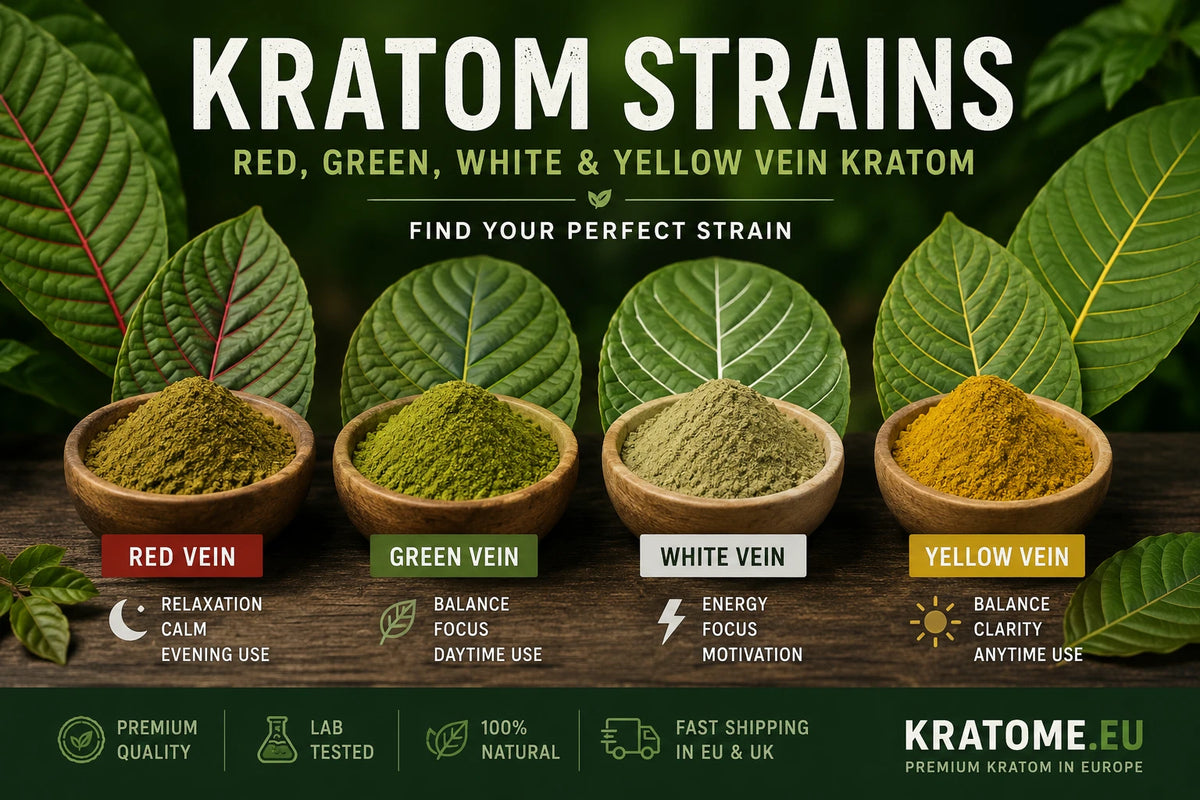 Kratom Strains Explained