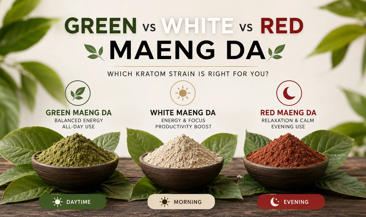 Green vs White vs Red Maeng Da: Which Kratom Strain?
