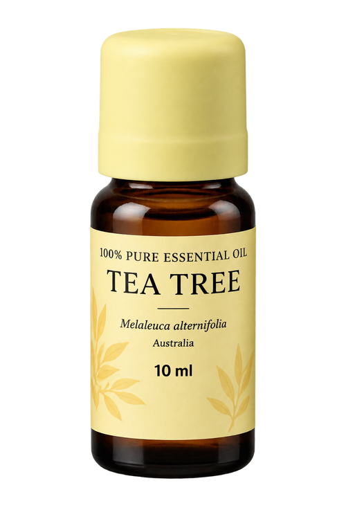 A 10 ml bottle of Tea Tree essential oil with an amber glass body, a pale yellow cap, and a matching pale yellow label featuring black text and leaf illustrations.
